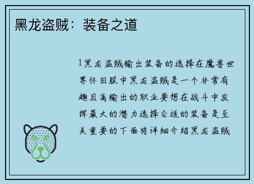 黑龙盗贼：装备之道